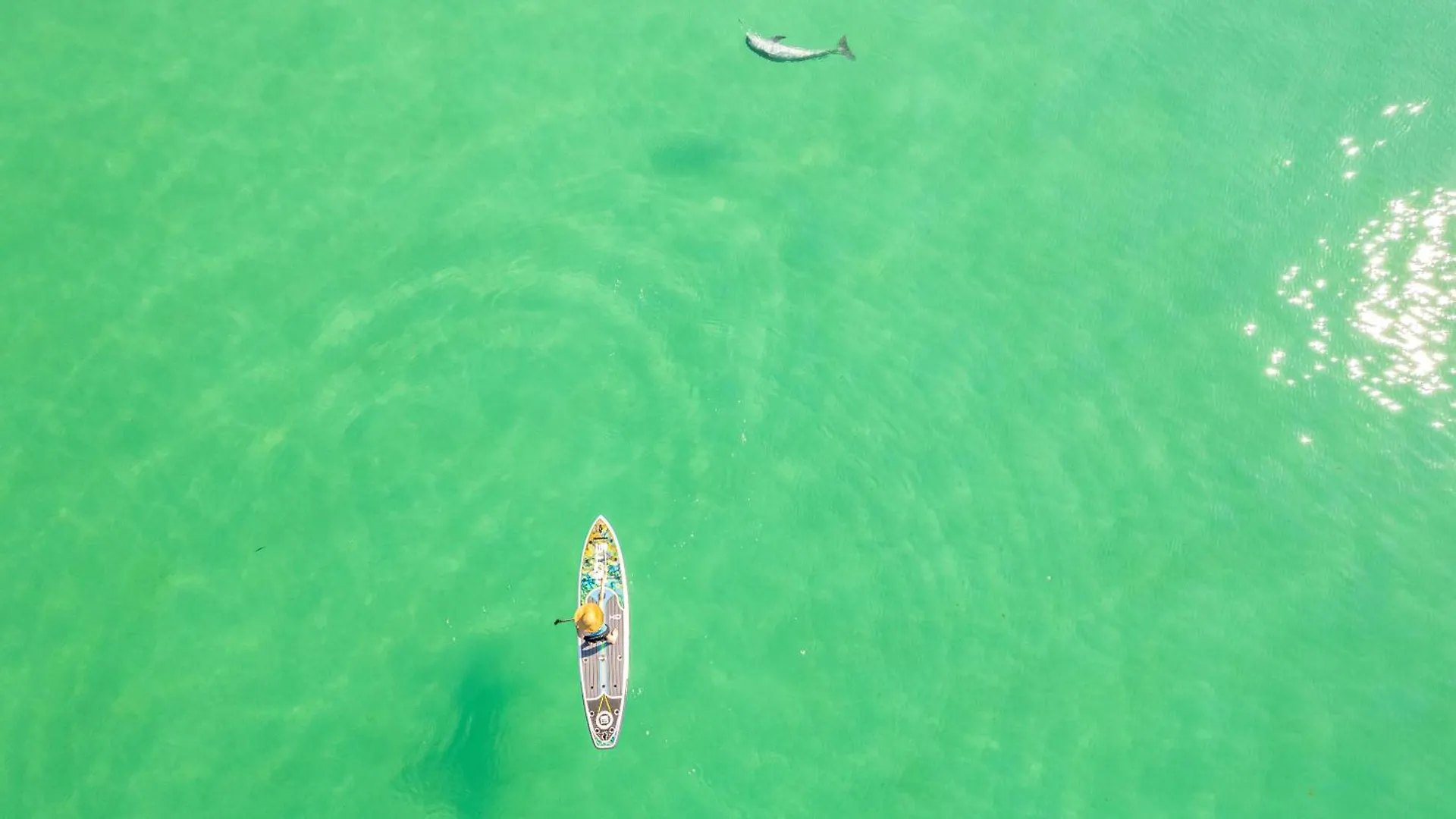 Apartment Sandpiper Cove 3203- By Holiday Isle Properties Destin