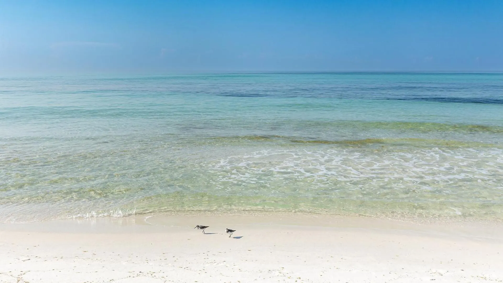 Sandpiper Cove 3203- By Holiday Isle Properties Destin United States